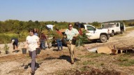 Heaven Hill and Bernheim Forest unite to plant thousands of trees