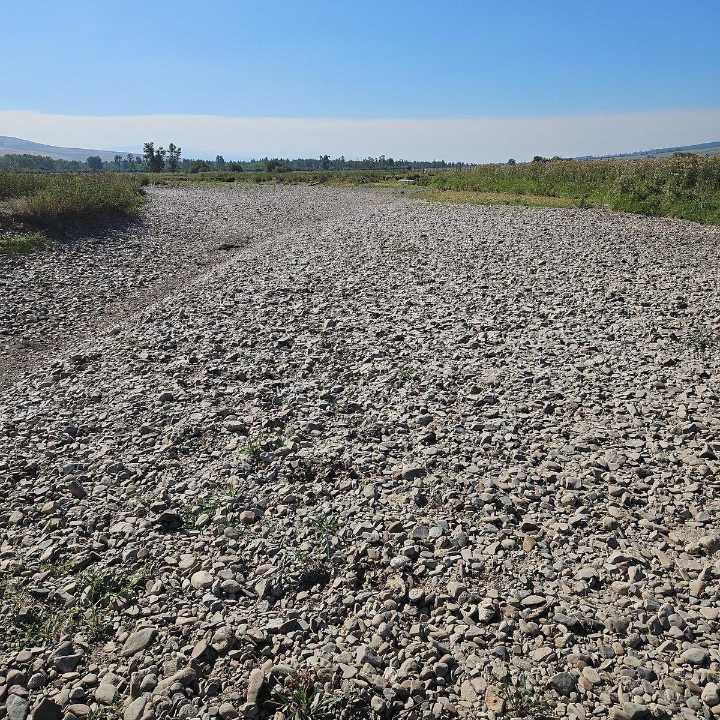 Viewpoint: Montana failing to protect water and fish