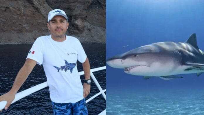 El biólogo mexicano Mauricio Hoyos es atacado por un tiburón en Costa Rica