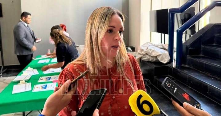 Señalan a más de 200 jueces por irregularidades en procesos de violencia vicaria en Tamaulipas