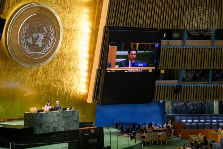 UN General Assembly Adopts ‘One-Sided Declaration’ in Push Toward Palestinian State