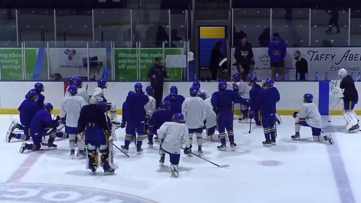 LSSU hockey team to participate in ‘Terry Fox Run’ for cancer research