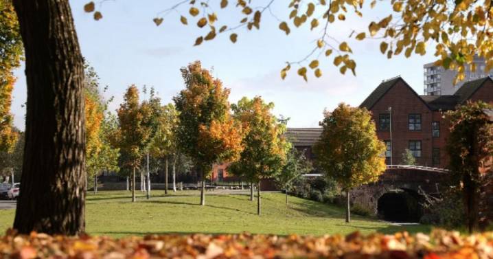 UK households face £300 fines over 'autumn family tradition'