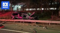 Victoria Police dog on the road to recovery after horror collision in Melbourne's north