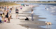 GALLERY: With Labor Day in the rearview, 'Locals' Summer' begins at the shore