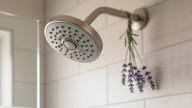 Pocos lo saben: para qué sirve colgar una ramita de lavanda en la ducha y qué beneficios tiene