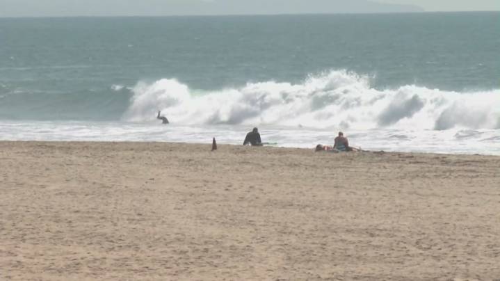 Hurricane Narda causing high surf at Southern California beaches