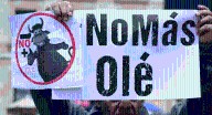 Corte dejó en firme prohibición de corridas de toros y la amplió a corralejas Una ley impulsada por el Gobierno y que fue aprobada en junio del año pasado.