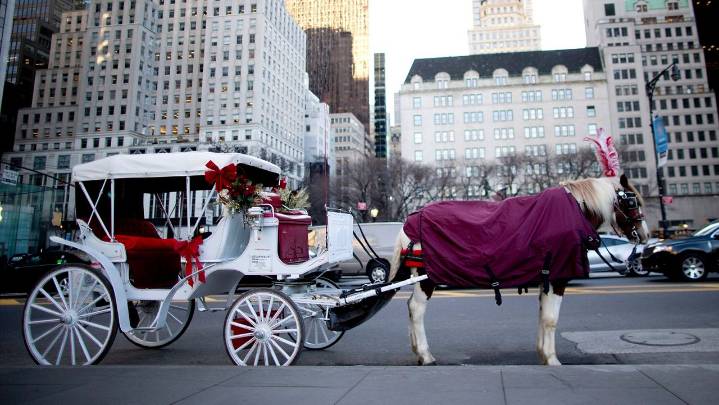 Mayor calls for horse carriage ban in Central Park