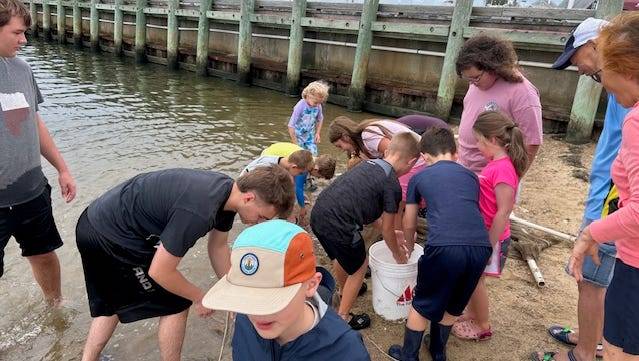 Marion Natural History Museum hosts monarch migration program