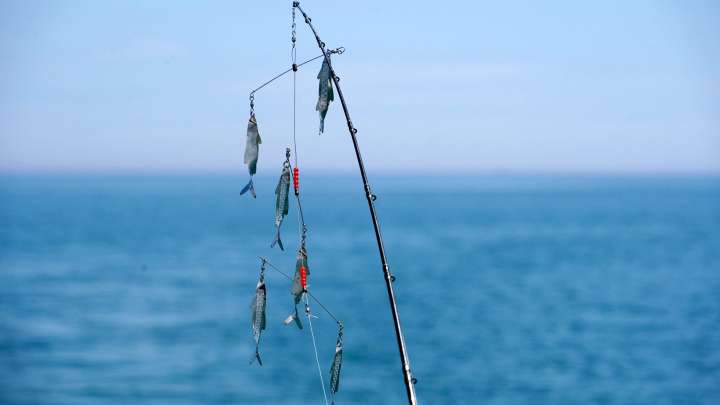 Health officials issue Do Not Eat advisory for fish. Which Michigan lakes are affected