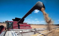 La casta del campo: las retenciones cero fueron solo para 12 grandes exportadores