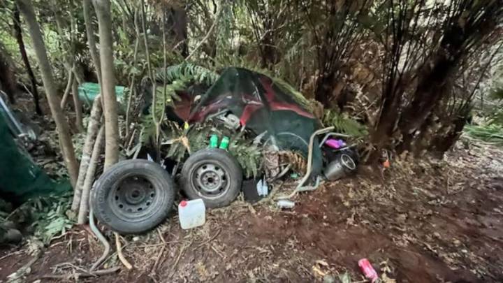 Horror: un hombre secuestró a sus hijos y los mantuvo aislados durante cuatro años en el bosque