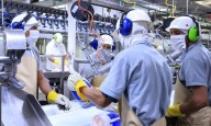 Avanza la economía con un 9% de crecimiento proyectado