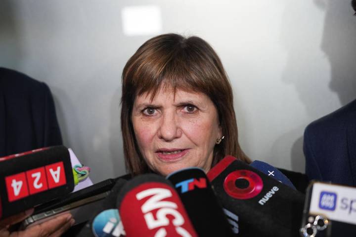 "Acusaciones falsas". La embajada de Rusia rechazó las acusaciones de Patricia Bullrich