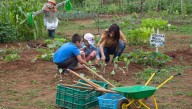 El Ayuntamiento celebrará el sábado 20 un taller familiar que aúna música clásica, ecología y arte