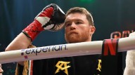 Aún no regresa al ring y ‘Canelo’ ya tiene un retador