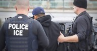Buenas noticias para latinos en EE. UU.: activistas toman precauciones para avisar a los inmigrantes sobre redadas migratorias