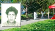 Identificaron al habitante de calle que murió arrollado tras caer de un árbol en Envigado: buscan a sus familiares