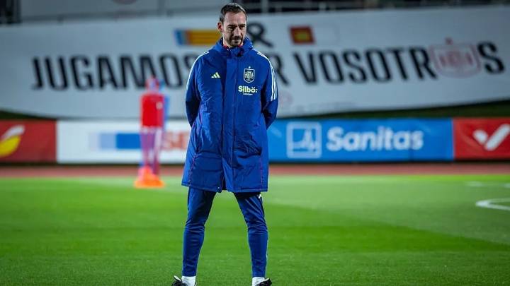 Pablo Amo, despedido siete meses después de dejar la Selección
