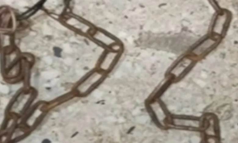 Revelan inquietantes casos de maltrato infantil en Mérida y Miranda: autoridades intensifican la investigación