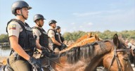 ¡Con las manos en la masa! Ecuador decomisa 298 kilos de cocaína valuada en 13 mdd... que iba a México