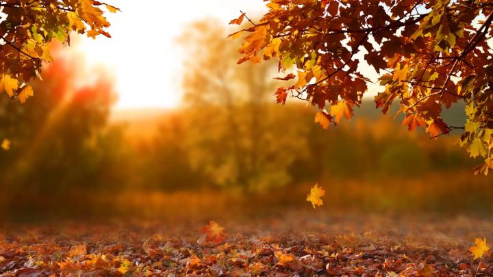Qué es el equinoccio de otoño y cómo afecta al ser humano