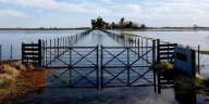El campo reclama por la falta de obras para el sector en los últimos 40 años y hay alerta por las inundaciones