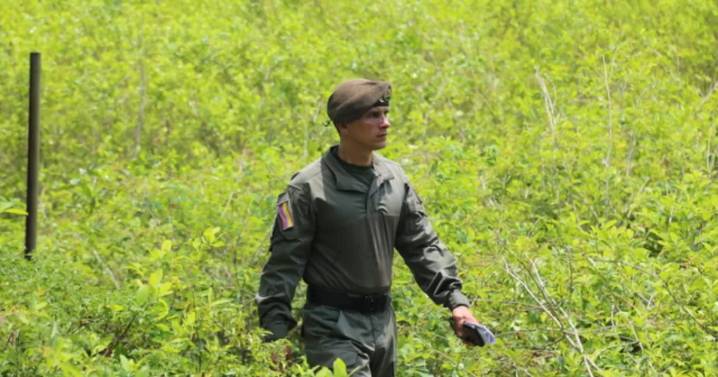 ¿Cuándo fue la última vez que Colombia fue descertificada por EE. UU. en la lucha antidrogas?