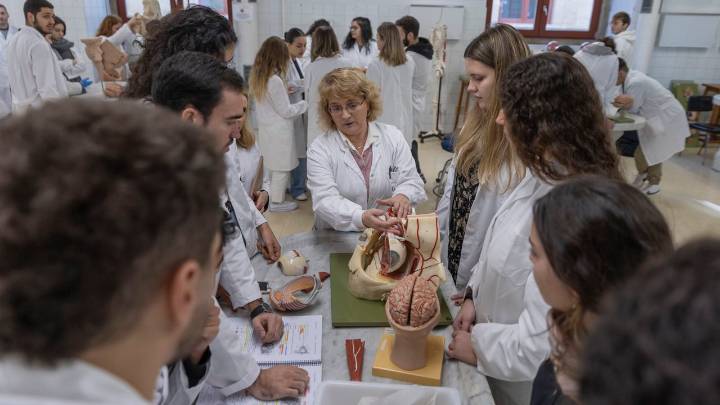 El alumnado de sexto de Medicina ya se reparte por todos los hospitales: de los cien de Vigo a los ocho de Ferrol