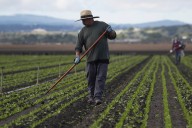 Los economistas del Congreso avisan que Estados Unidos necesita inmigrantes para crecer
