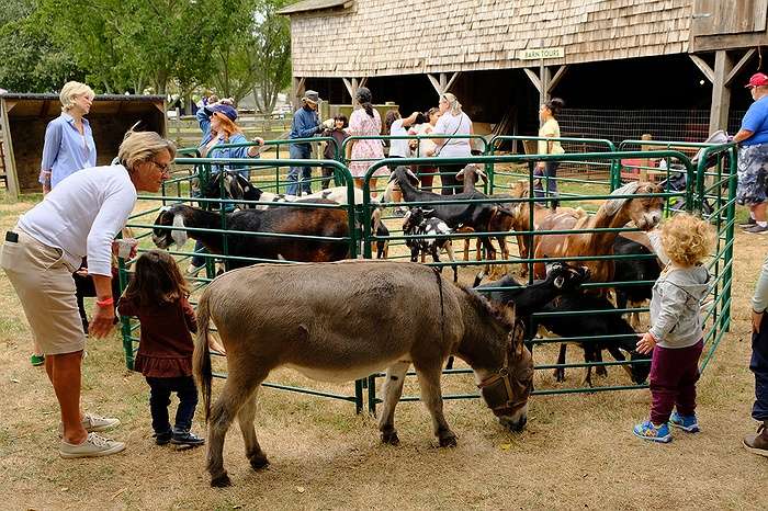 44th Hallockville Museum Farm Country Fair September 27 & 28