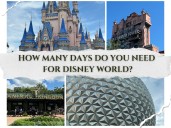 How many days do you need at Disney World Orlando?