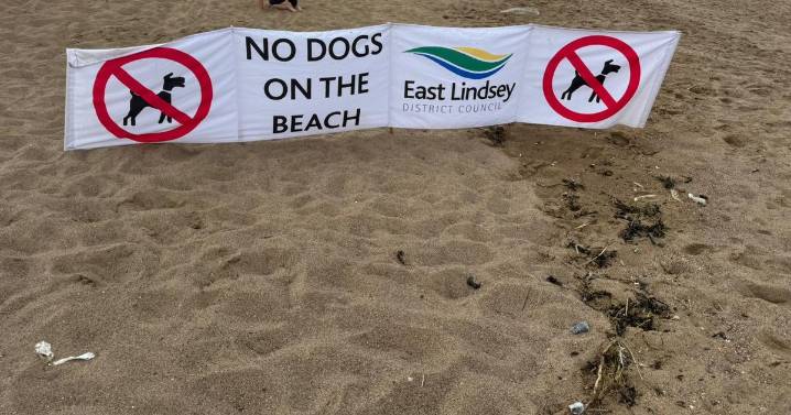 Council announces changes for dog exclusion zones on Lincolnshire beaches