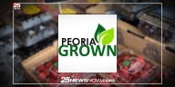 Peoria Grown denied WIC program for seniors, executive director says change is needed