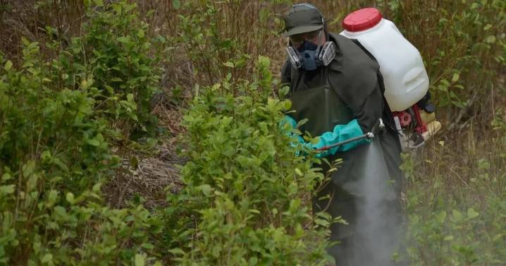 ¿Por qué Estados Unidos descertificó a Colombia en la lucha contra las drogas? Razones y datos