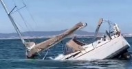 Footage shows terrifying moment yacht is sunk by a pod of orcas as experts reveal surprising motive