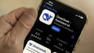 DeepSeek aprende más cuando recibe recompensa