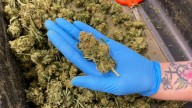 How will Missouri’s cannabis market change if the feds reschedule marijuana?