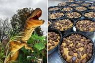 Cookies And Dinos Event In Bangor Promises Family Fun