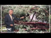 29 years since Hurricane Fran hit North Carolina