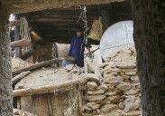 Rescuers race to find Afghan quake survivors as death toll passes 1,400