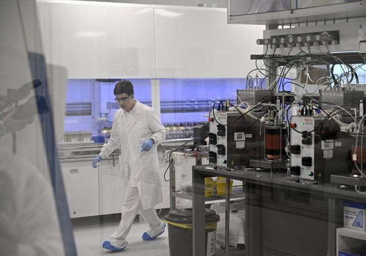 Gipuzkoa descarta replicar los incentivos fiscales alaveses en biotecnología y refuerza su plan