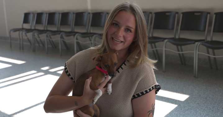 Rescued animals getting ready for adoption in Great Falls