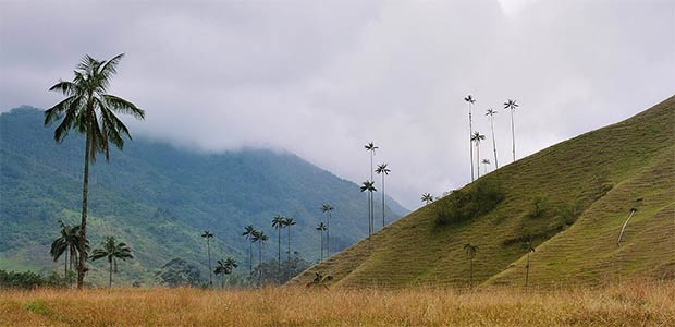 Salento gana premio nacional e internacional por ecoturismo y senderismo: un referente de turismo sostenible en Colombia