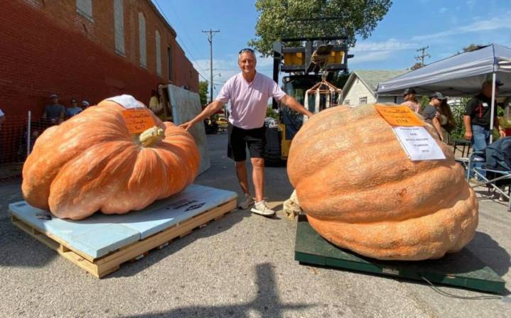 Republic's Pumpkin Daze returns this season