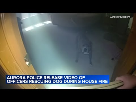 VIDEO: Aurora police rescue dog from house fire
