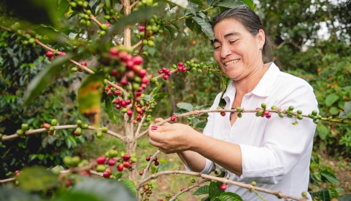 Nespresso destaca el liderazgo femenino en la caficultura con 'El Color de Ellas'