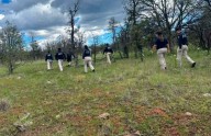 Realiza FGE rastreo en Carichí con apoyo de binomio canino y dron
