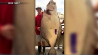 Young man and the sea: Teen fishing off New England coast catches huge halibut bigger than him